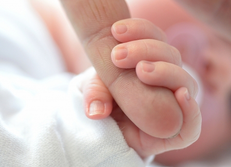 Newborn hand holding the finger of his parent の写真素材