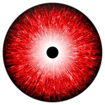 Illustration of a red eye with light reflection on a white background.の写真素材