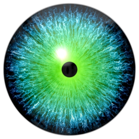 Illustration of a blue, green eye with light reflection on a white background.の写真素材