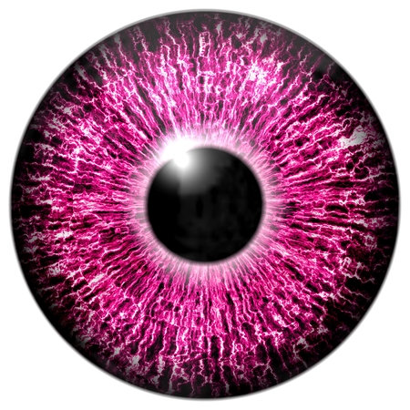 Illustration of a purple eye with light reflection on a white background.の写真素材