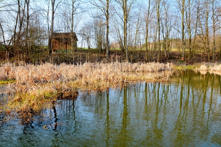 HDR shot of the natural wetland in pond.の写真素材