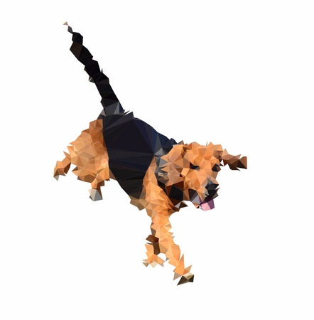 Abstract polygonal illustration of the Beagle dog running isolated on a white background.の写真素材