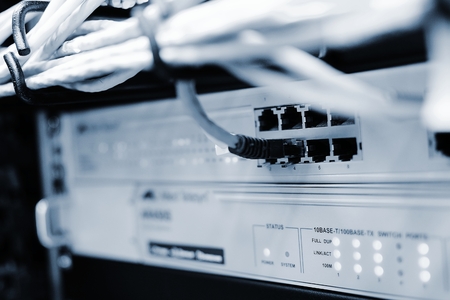 Networking patch cable plug to the ethernet RJ45 port in networking switch.