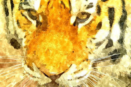 Abstract watercolor digital generated painting of the Siberian Tiger head portrait.の写真素材