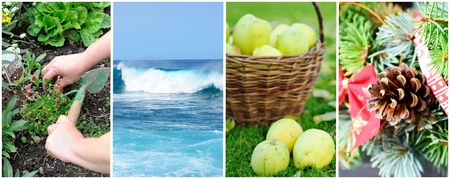 Conceptual four season collage with photos of typical things during all year.の写真素材
