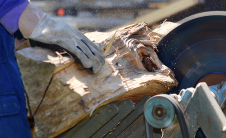 Man cutting the log on circular saw in garden. Cutting wood, Cutting log. Woodworking in garden.の写真素材