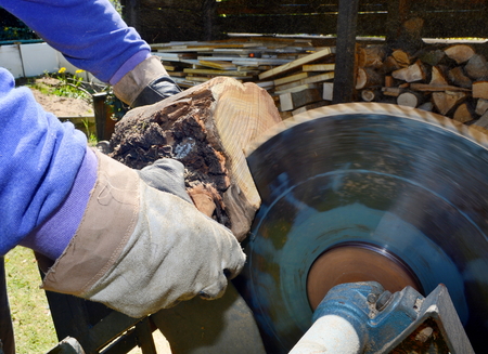 Man cutting the log on circular saw in garden. Cutting wood, Cutting log. Woodworking in garden.の写真素材