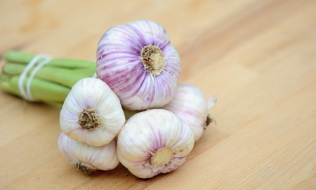 Bunch of fresh garlic with green scape on brown wood plate.の写真素材