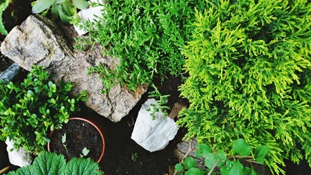 Top down view of a miniature decorative rock garden.の写真素材