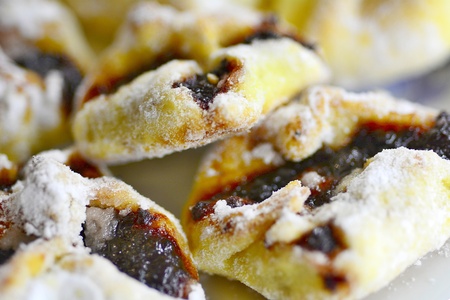 Macro shot of the traditional Czech cakes sprinkled with sugar and stuffed with plum jam.の写真素材