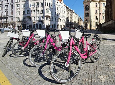 Bike sharing pink bicycles locked at pole in center of Prague city. New modern ecological and fast...