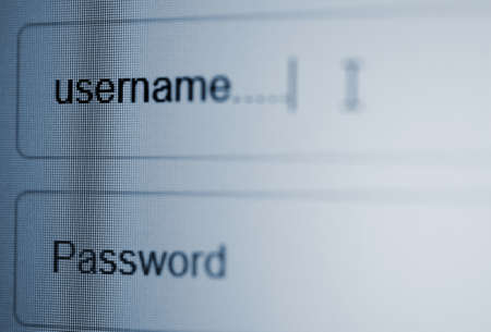 Closeup of LCD screen with login page with username and password column in internet browser.