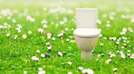 Abstract collage with fresh flush toilet bowl placed in the blooming green meadow, concept of fresh purity and ecology.の写真素材