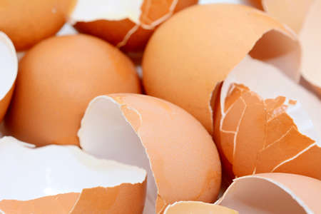 Cracked brown egg shells closeup, full frame background.
