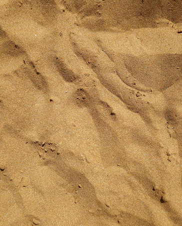 Full frame sand background, sand texture.