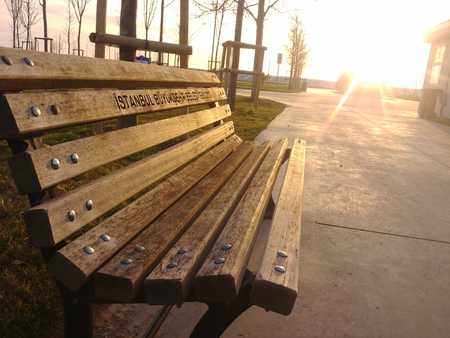 Bench in a Park at Sunsetの写真素材
