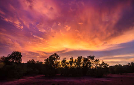 Beautiful sunset viewのeditorial素材