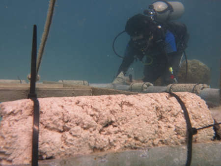 Malaysia, 22 August 2020: A diver arrange the substrate at artificial reef area in Malaysia