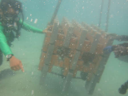Terengganu, Malaysia- Jun 20 2020: The installment of artificial reef at coral reef area in Redang island, Malaysiaのeditorial素材