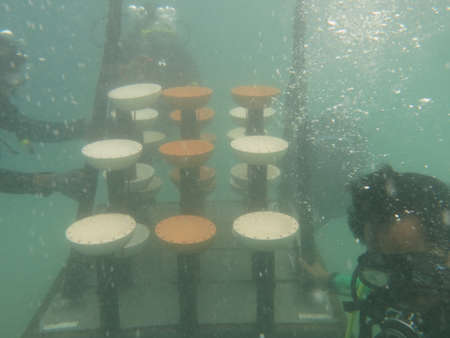 Terengganu, Malaysia- Jun 20 2020: The installment of artificial reef at coral reef area in Redang...