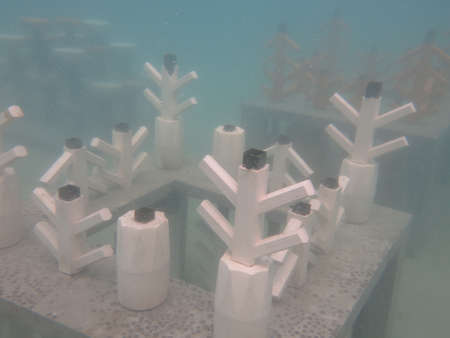 Deployed artificial reef at Redang island, Malaysiaの写真素材