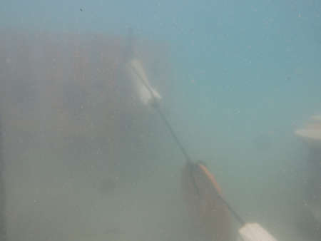 Artificial reef deployed at Redang island, Malaysiaの写真素材