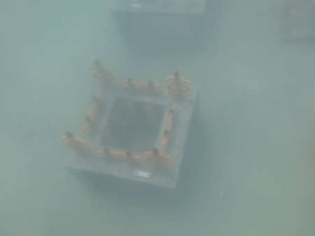 Terengganu, Malaysia- Jun 20 2020: The installment of artificial reef at coral reef area in Redang island, Malaysiaのeditorial素材