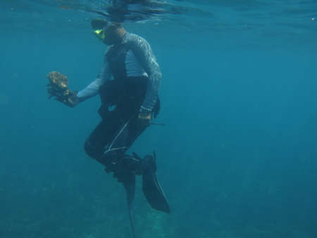 Malaysia, 3 March 2019 - Diver do a survey for conservation work in the oceanのeditorial素材