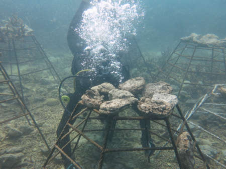 Malaysia, February 20 2020- A male prepare for diving activity in Redang islandのeditorial素材