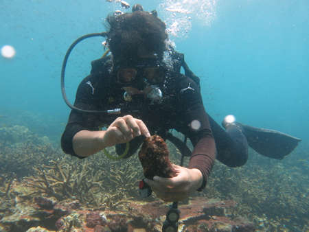 Malaysia, February 20 2020- A male prepare for diving activity in Redang islandのeditorial素材