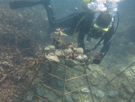 Malaysia, February 20 2020- A male prepare for diving activity in Redang islandのeditorial素材