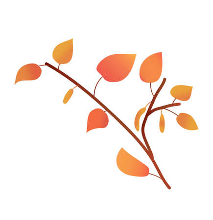 a birch twig in a gradient color. autumn foliage. texture gradient. vector. detail for printing and postcardsのイラスト素材