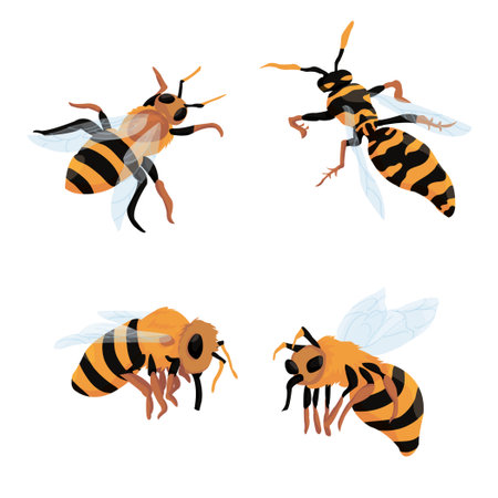 three bees and one wasp on a white background. set of bees. vector isolated. beekeeping. production of honey. mascots, logo.のイラスト素材