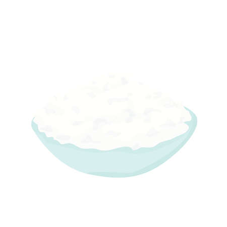 a plate of cottage cheese. curd mass vector flat. dairy products concept. isolatedのイラスト素材