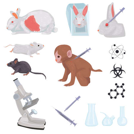 動物実験 のイラスト素材 イメージマート