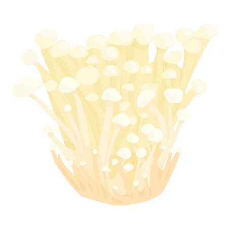 Enoki mushrooms isolated on white background. edible mushrooms. honey mushrooms. mushroom season....