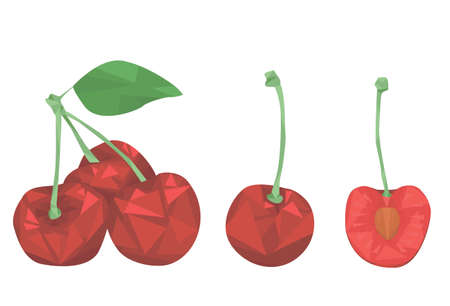 cherry on twigs isolated on white background. berries. cherry. cherry in a cut. geometric style. juice. flat vector.のイラスト素材