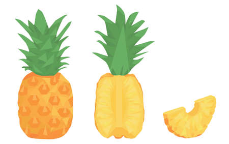 set pineapple isolated on white background. whole pineapple, cut, slice. half a pineapple. Pineapples. geometric style. flat vector.のイラスト素材