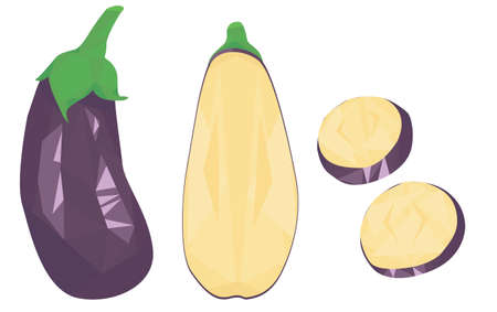 set of eggplant isolated on white background. whole eggplant, half and eggplant slices. aubergine. Brinjal. guinea squash. fresh vegetables. harvest.geometric style. flat vector.のイラスト素材