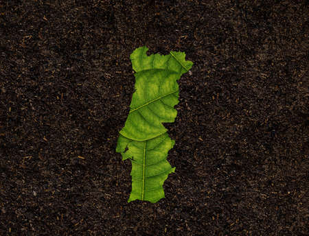 Portugal map made of green leaves on soil background ecology concept