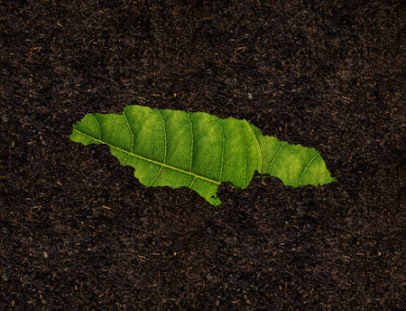 Jamaica map made of green leaves on soil background ecology concept
