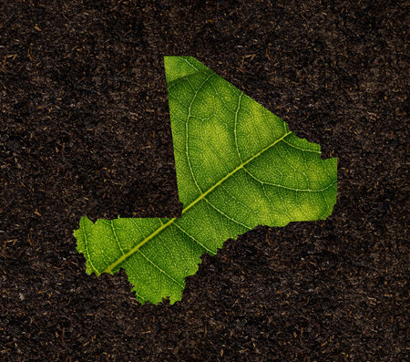 Mali map made of green leaves on soil background ecology conceptの写真素材