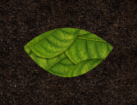 Eye Shape of green leaves on Soil background ecology concept