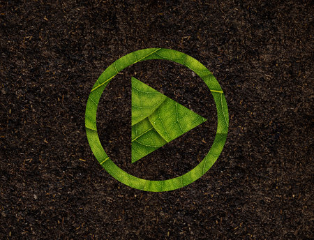 Play shape of green leaves on Soil background ecology conceptの写真素材