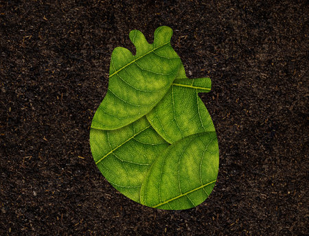 Heart Shape of green leaves on soil background ecology conceptの写真素材