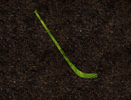 Ice Hockey Stick Shape of green leaves on Soil background ecology conceptの写真素材