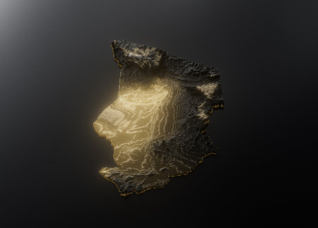 Chad Map Golden Metallic Texture Map Gold Reserves And Gold Mining Concept 3D Illustrationの写真素材