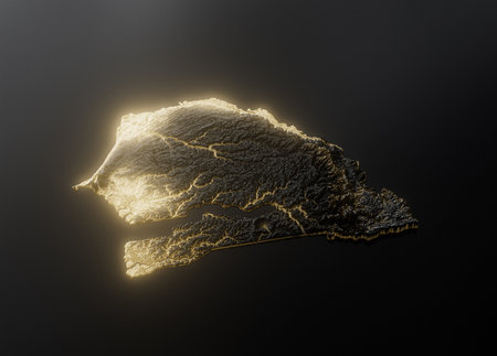 Senegal Map Golden Metallic Texture Map Gold Reserves And Gold Mining Concept 3Dの写真素材