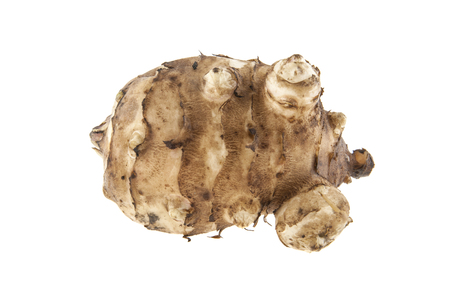 Root of Jerusalem artichoke isolated on white background