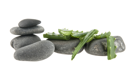 Aloe and sea stones isolated on white backgroundの写真素材